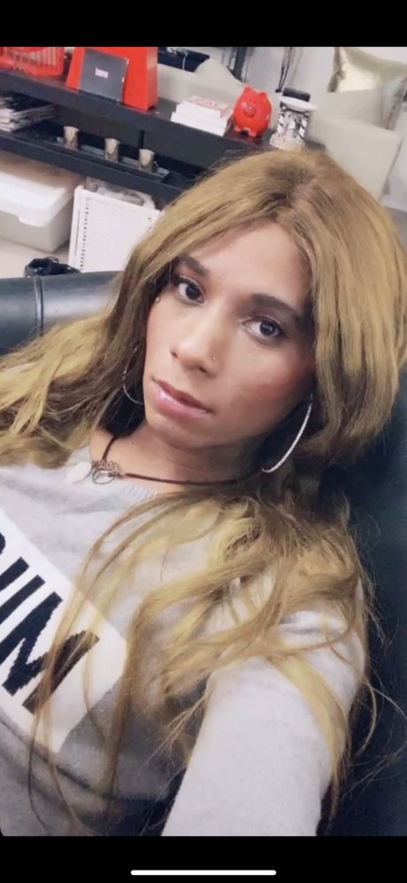 Rosestar1 freie hd bilder