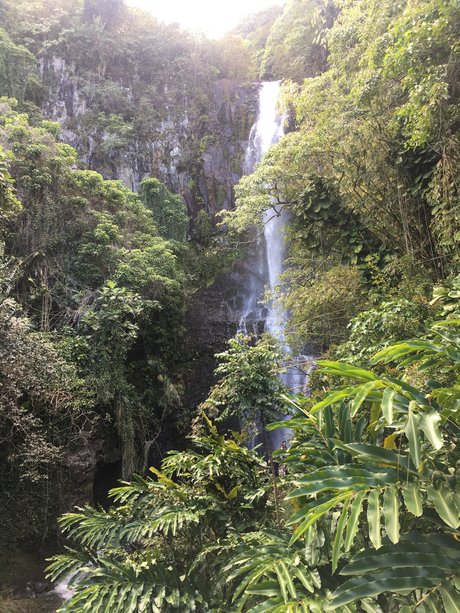 John Smith top kunst galerie