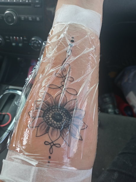 Bre Harrison sexy kostenlose fotos