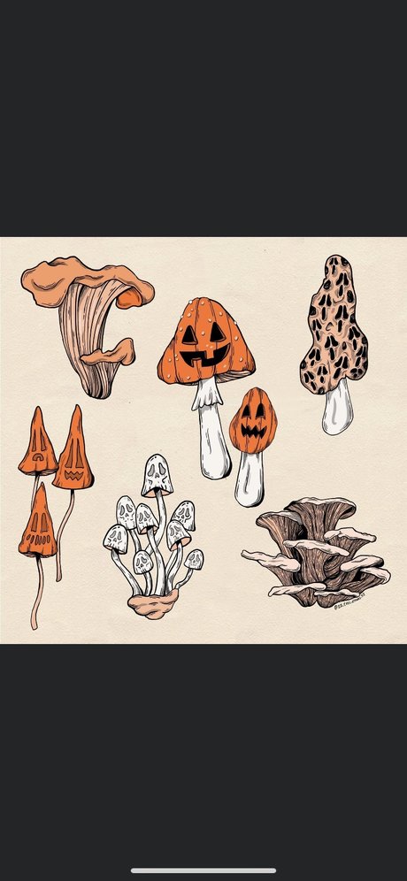 ZanaSossa schauspielerin pornografische galerie