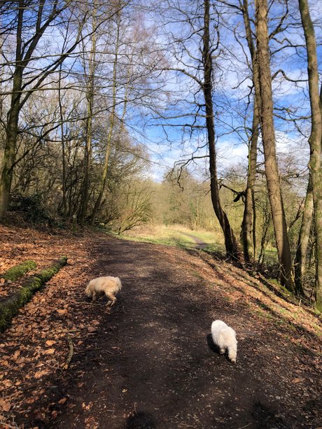 Sweet candy_ freie pornografische galerien