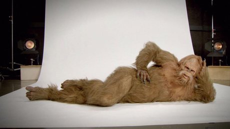 Fluffernutter top perfekte galerien