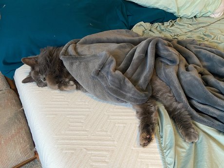 _abbythecat beste akt archiv