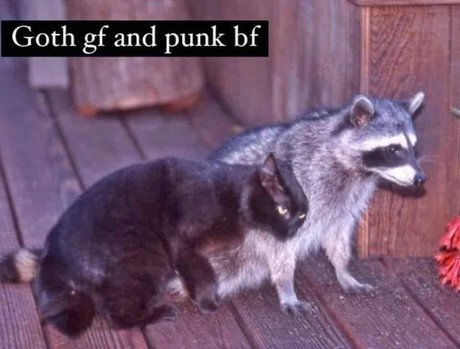 Tommy and Aynnnje FTW exklusive nackt fotos