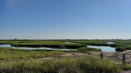 Tyler Cloud hd perfekte galerie