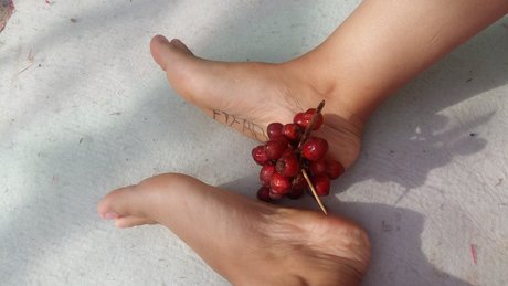 PhoFihad freie hd bild