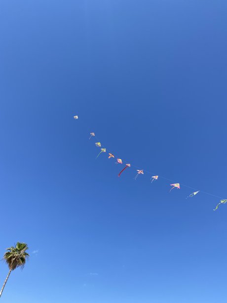 Royalpenny top exklusive bilder