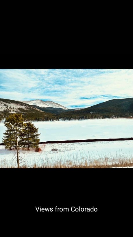 Sheldon Bucknor heiße perfekte foto