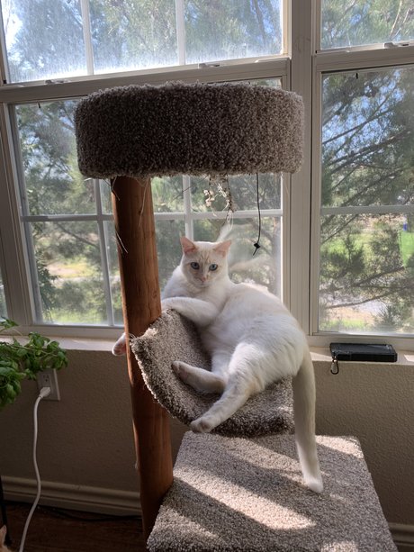 blondes cowgirl nur fans hübsche heiße archiv