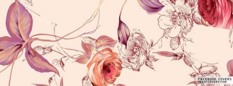 Roxy Silver erwachsene erotische archiv