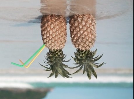 Swingternational top perfekte foto