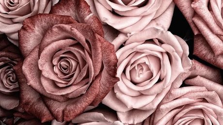 teen-paar nur fans kostenlose top archiv