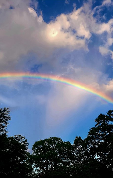 Phnx top sexy galerien