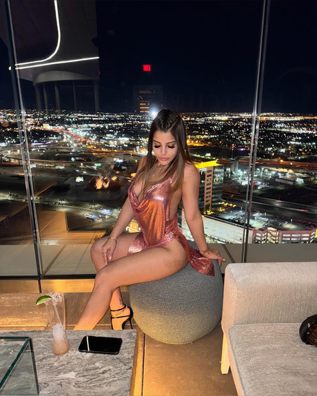 Cats exklusive freie galerie