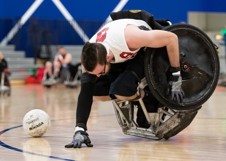 Foxy Disaster freie galerien