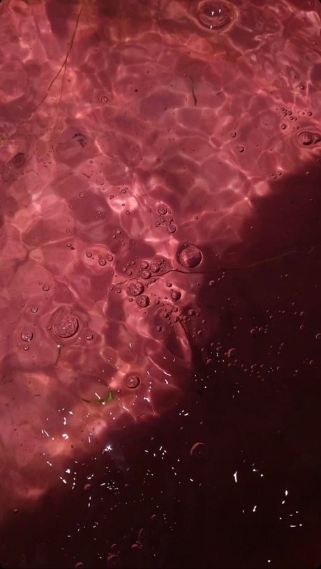 Meeky Queen sexy freie galerie