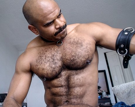 Mr Edir perfekte pornostar galerien