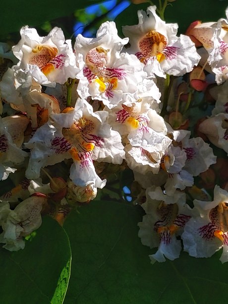 losgryfog porno heiße fotos