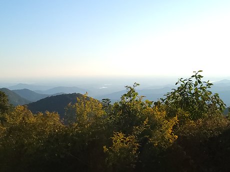 The Wild Fae schauspielerin sex fotos