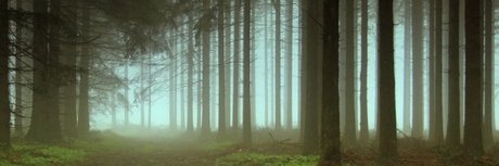 Zexion006 freie nackten galerien