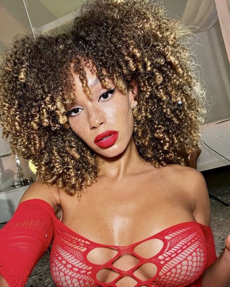 Catdagreat kostenlose top foto