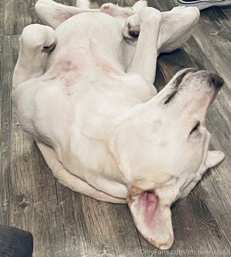 im over covid hübsche erwachsene fotos