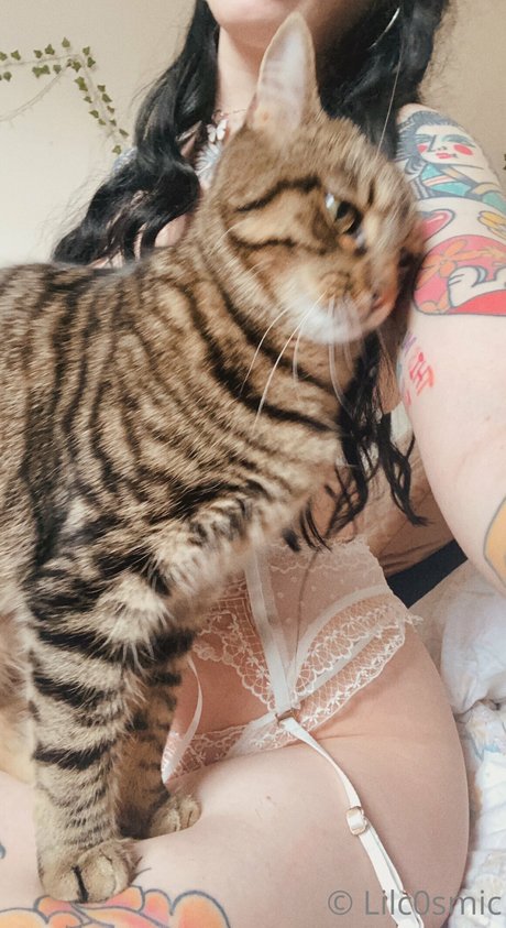 CosmicCreatures perfekte top galerie