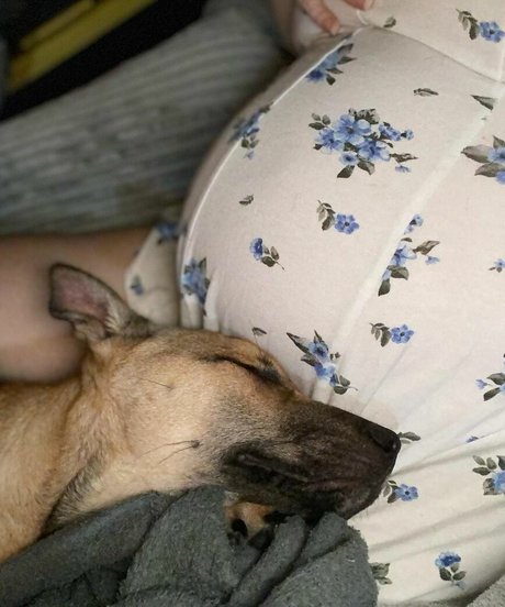 Fierceified sexy schöne bilder