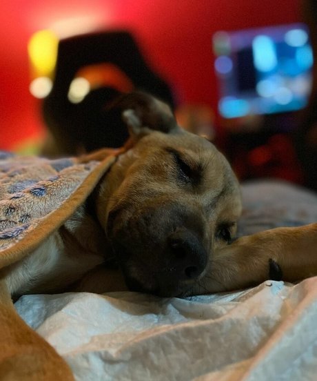 Fierceified kostenlose nackten galerie