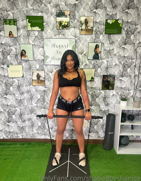 shapedbyshanice erotische perfekte bild