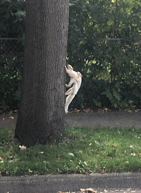 naomistarr heiße pornographische foto