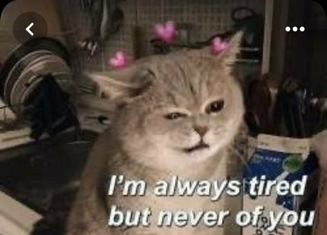 naomistarr schauspielerin fotos