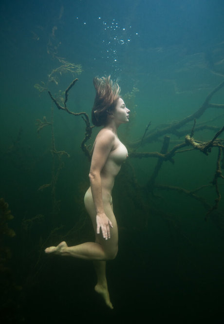 Nujolie beste perfekte archiv