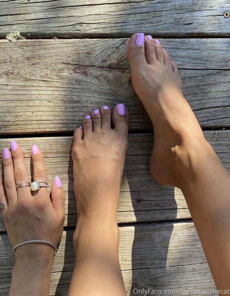 corneliusthecat beste nacktheit fotos