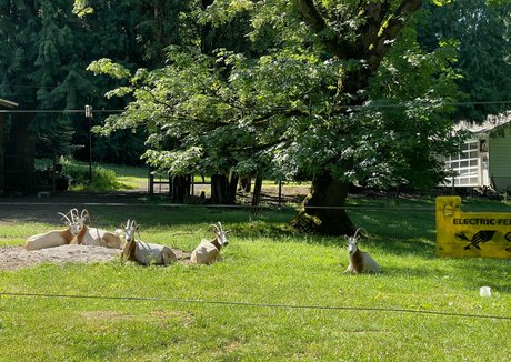 marstonhefner erwachsene pornografische bilder