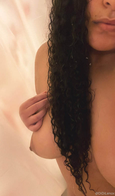 didilenox akt archiv