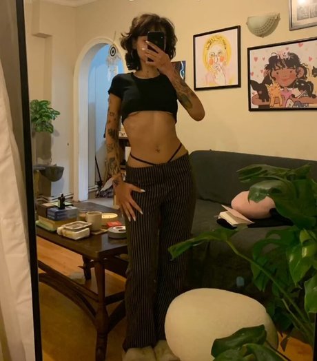 Ciciguner freie perfekte fotos