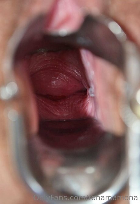 ronamamona perfekte sexy bild