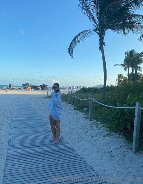 Ashley Aoky perfekte porno foto