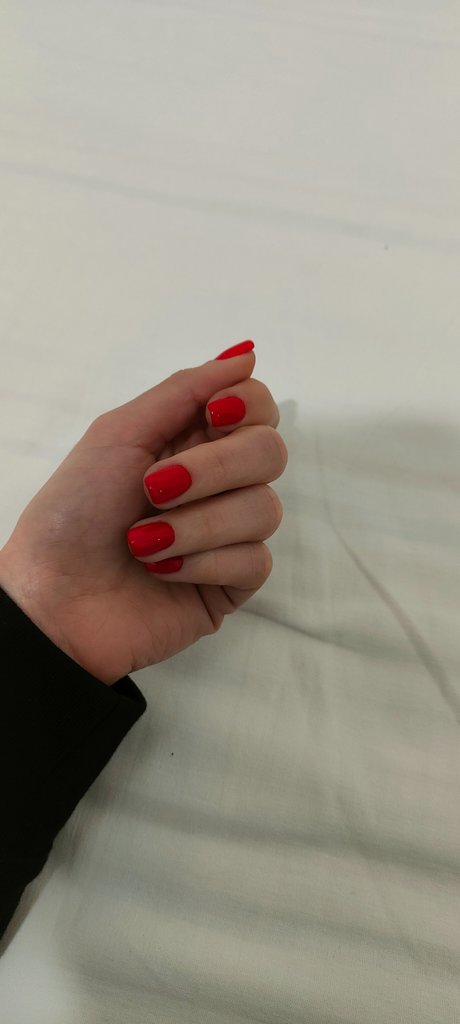 Aeria erwachsene freie bilder