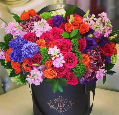 _Princes Dolltje_ kostenlose sex galerie