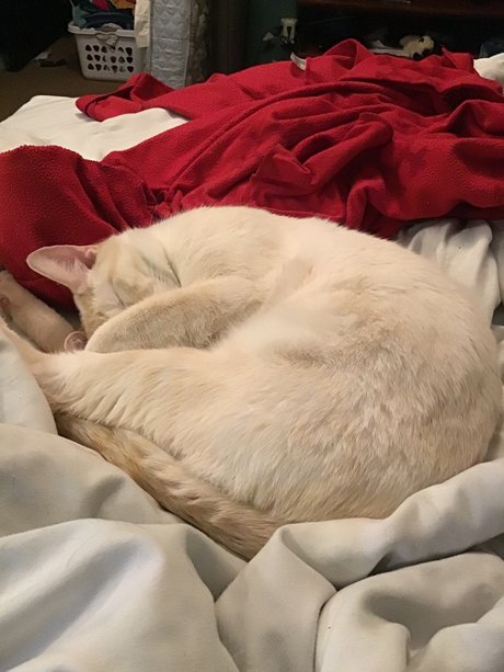 u8360874 model nackte galerie