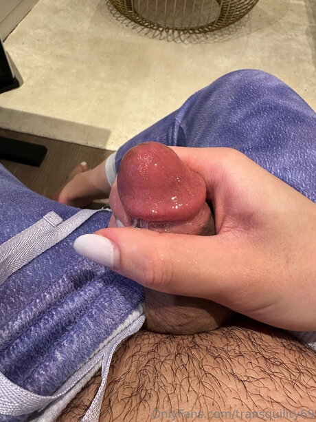 Transquility schauspielerin hd fotos