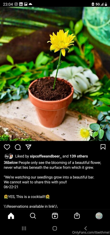 Topless talks with Mel schauspielerin schöne bilder