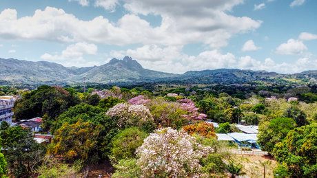 Thady model akt galerien