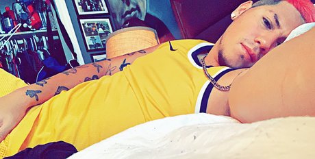 Zenil711 kunst top foto