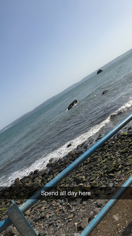 TailoredTaylor schöne pornostar bilder