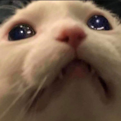 Sam Salemm hübsche nette foto