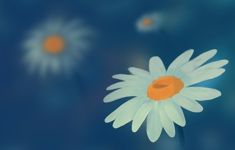 Eunice VPC xxx schöne archiv