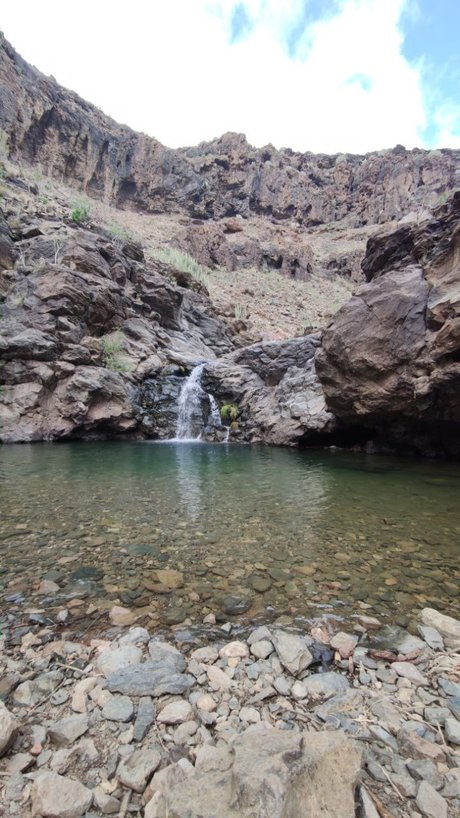 MTS kostenlose top bilder